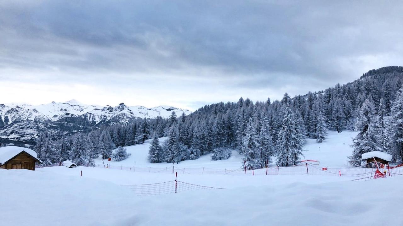 Les Chalets Du Parc Aux Etoiles - Cimes Et Neige Lejlighed Puy-Saint-Vincent Eksteriør billede